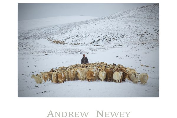Copyright © Andrew Newey. All Rights Reserved.