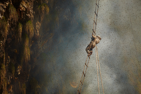 0094