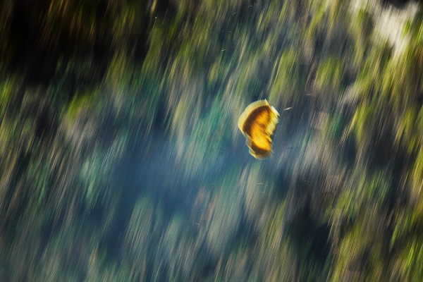 0126