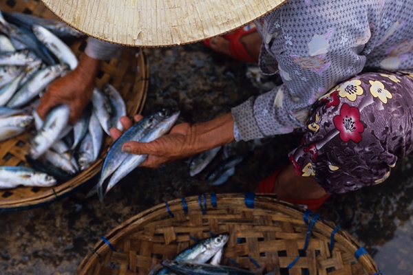 Woman at Fish Market, Hoi An, Vietnam