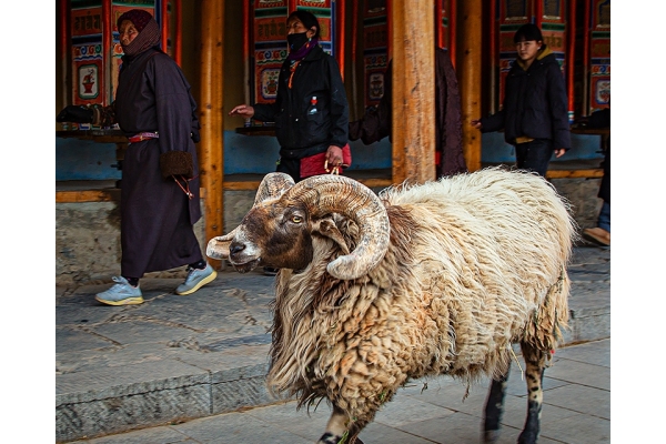 058