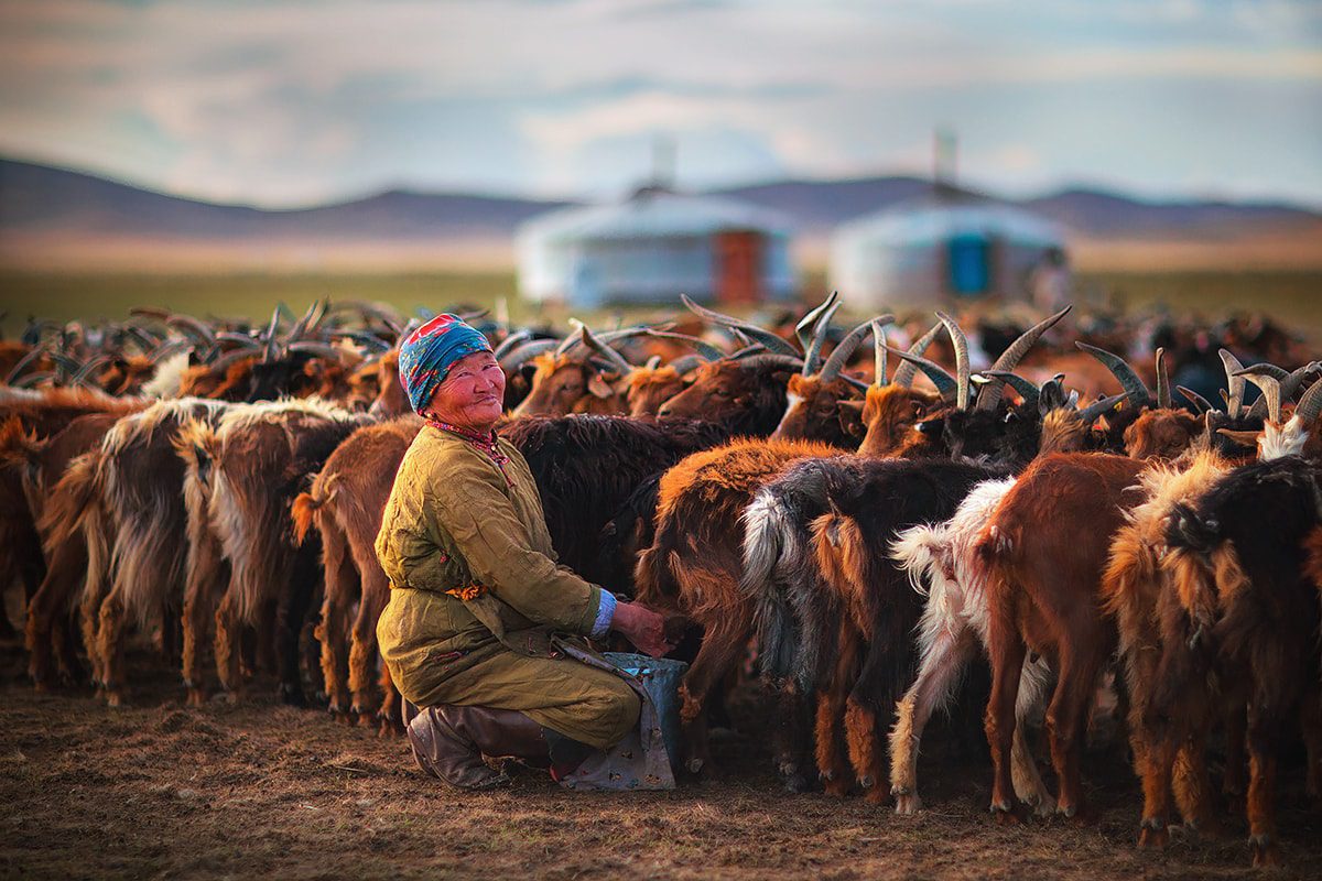 Mongolia Photo Expedition