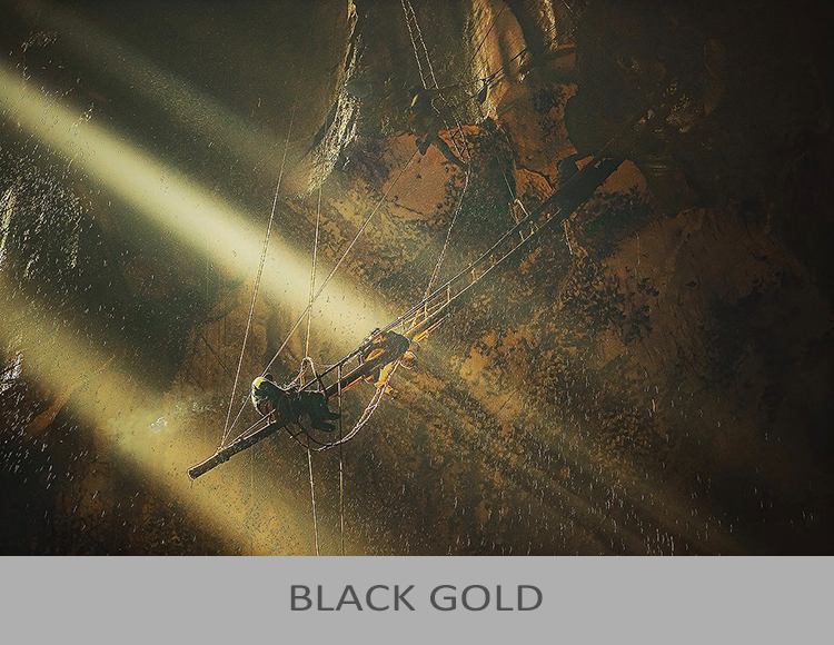 Black Gold