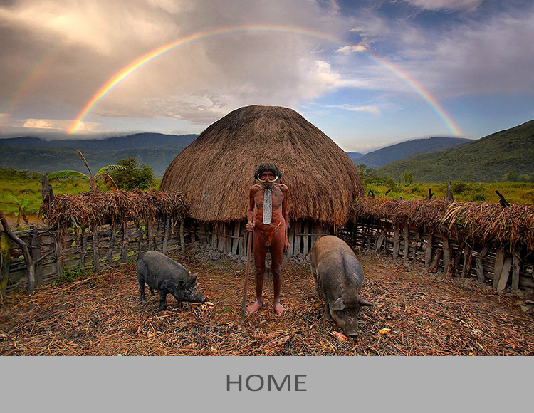Home