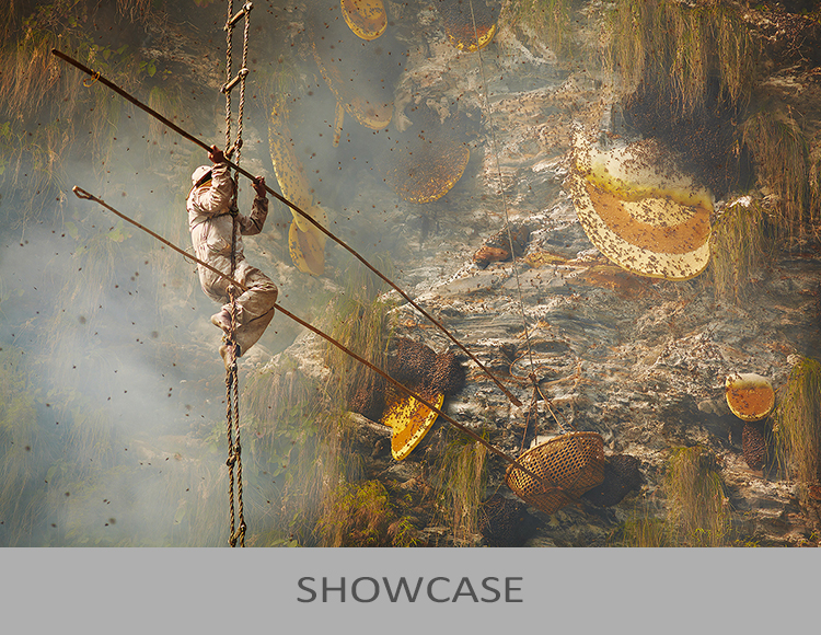 Showcase