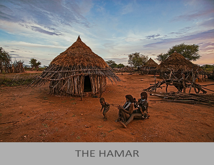 The Hamar
