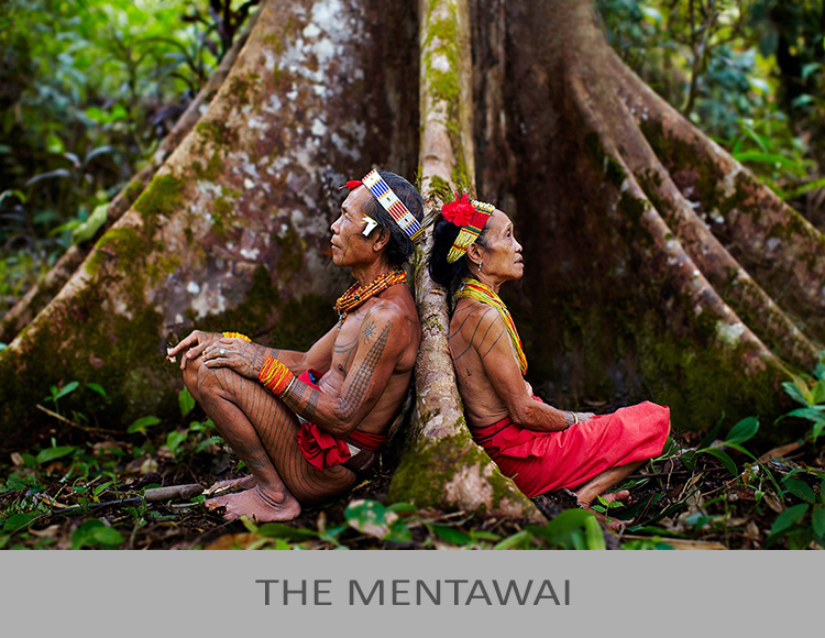 The Mentawai