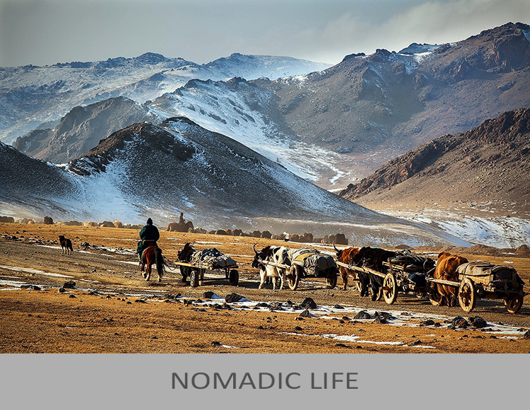 Nomadic Life